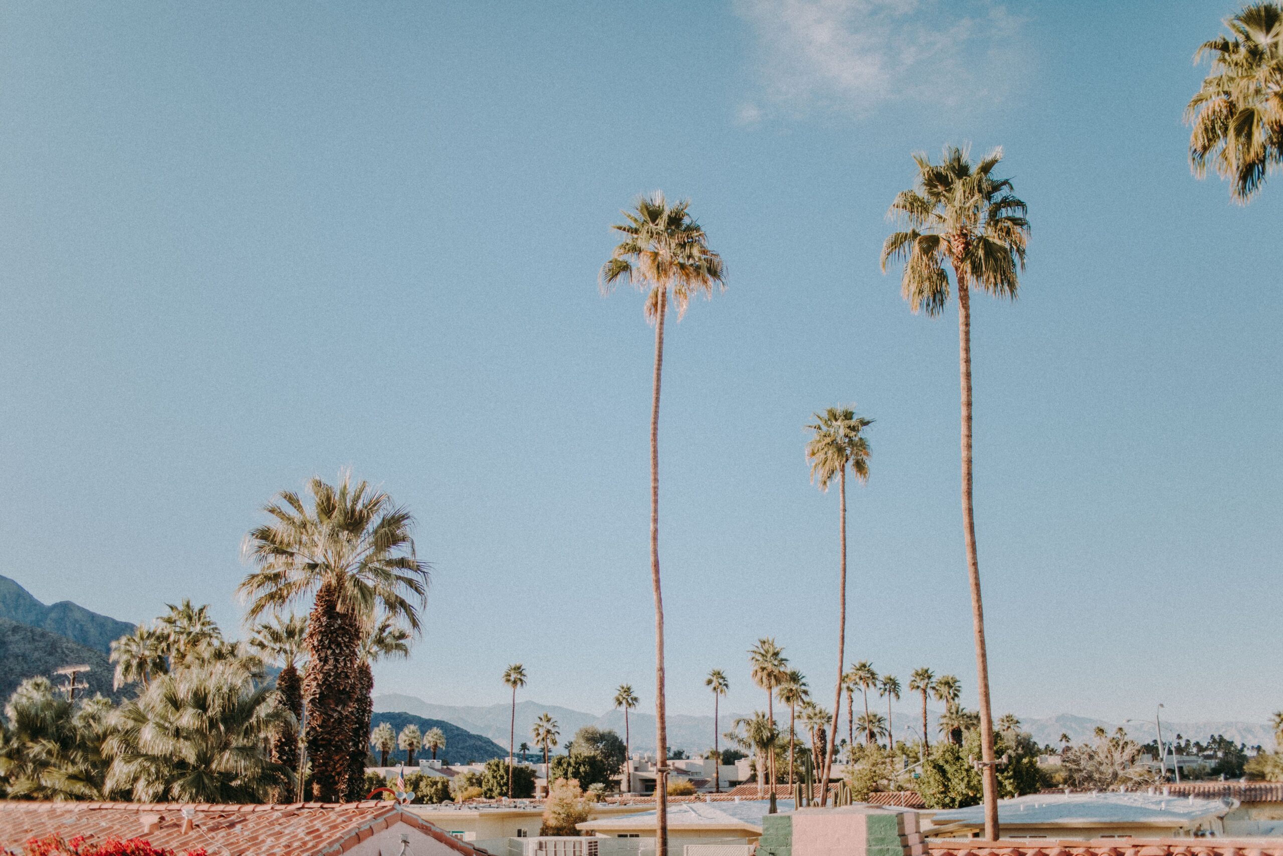 visit gay palm springs for hot gay sex and gay cruising in california